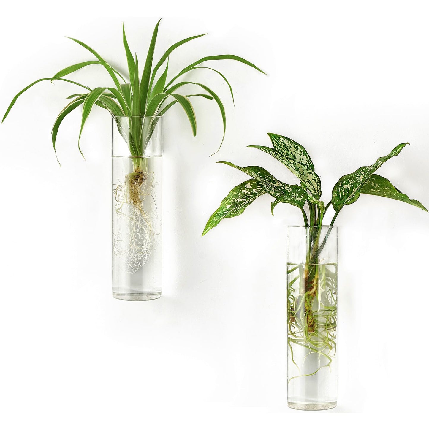 Propagation Station Hanging Glass Tubes Flower Vase for Hydroponics Plants | Set of 4