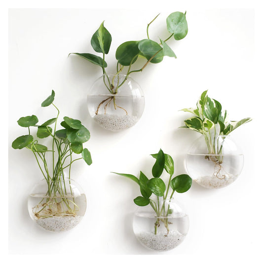 Hanging Planter Vase for Hydroponics Plants, Set of 4